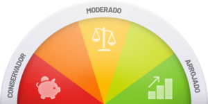 Perfil investidor, conservador, moderado, arrojado