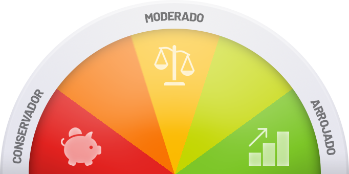 Perfil investidor, conservador, moderado, arrojado